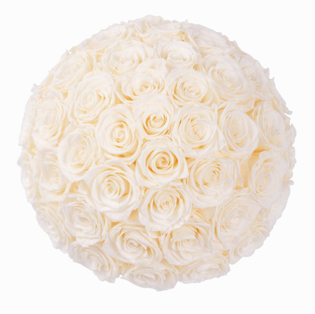 Because Of Love Bridal Collection Preserved Roses