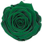 Because Of Love Bridal Collection Preserved Roses