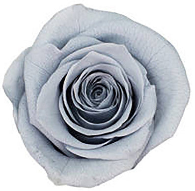 Because Of Love Bridal Collection Preserved Roses