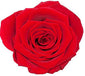 Heart Box Preserved Roses