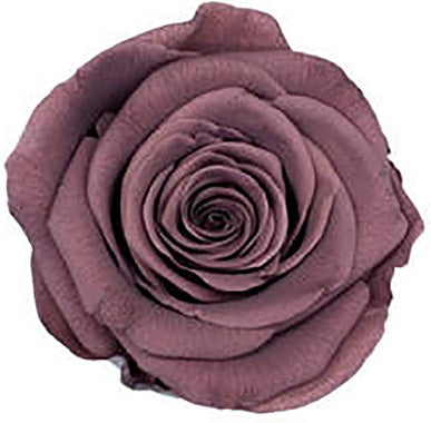 Because Of Love Bridal Collection Preserved Roses