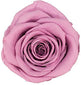 Because Of Love Bridal Collection Preserved Roses