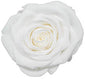Because Of Love Bridal Collection Preserved Roses | Bridesmaid