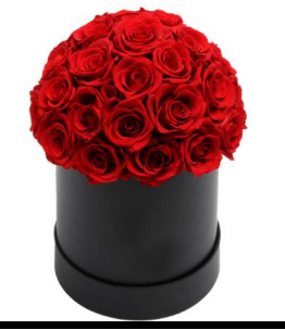 Large Round Dome Box Preserved Roses