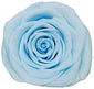 Medium Round Dome Box Preserved Roses