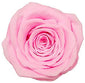 Single Round Box Preserved Roses