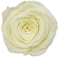 Single Round Box Preserved Roses