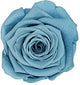 Because Of Love Bridal Collection Preserved Roses