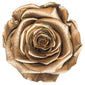 Single Round Box Preserved Roses