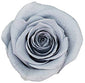 Single Round Box Preserved Roses