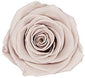 Because Of Love Bridal Collection Preserved Roses