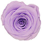 Because Of Love Bridal Collection Preserved Roses