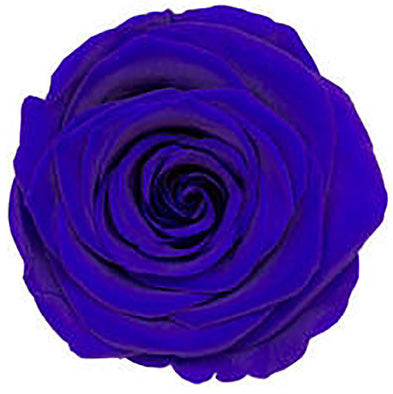 Large Round Dome Box Preserved Roses – De la David
