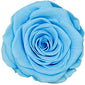 Single Round Box Preserved Roses