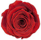 Single Round Box Preserved Roses