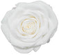 Medium Round Dome Box Preserved Roses