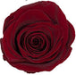 Single Round Box Preserved Roses