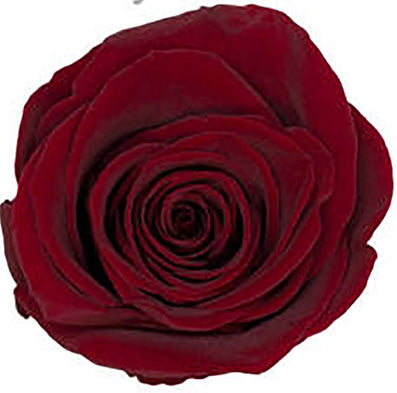 Large Round Dome Box Preserved Roses – De la David